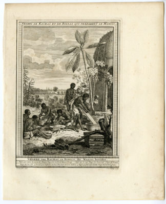 MANIOC-NEGRO-BISSAU-CASSAVA [Jakob VAN DER SCHLEY after PREVOST-COCHIN, 1747]