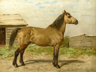 Antique print - Otto Eerelman - Canadian farm horse