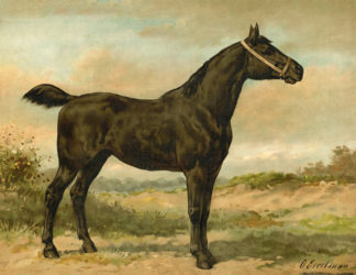 Antique print - Otto Eerelman - Norwegian horse