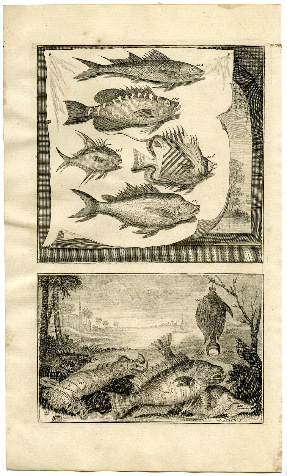 , Antique Print – FISH-CRAB-TROPICAL-INDONESIA-MOLUCCAS-XII-VALENTIJN-ELLIGER – 1724, Pictura Antique Prints