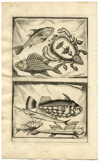 Antique Print - FISH-CRAB-TROPICAL-INDONESIA-MOLUCCAS-XVI-VALENTIJN-ELLIGER - 1724