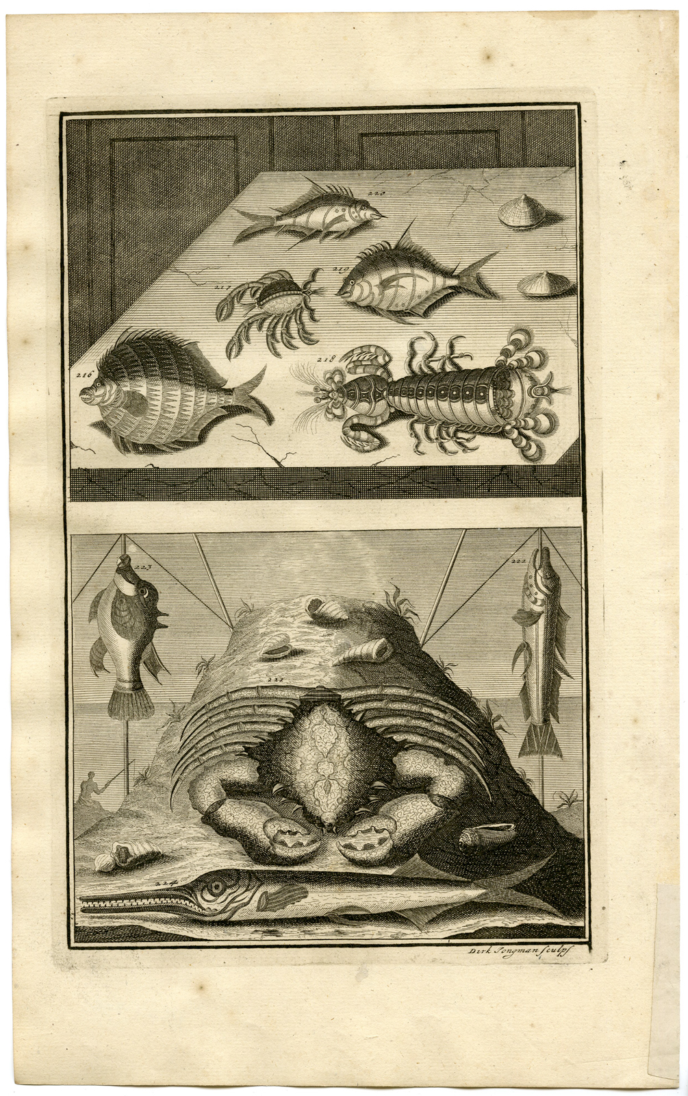 , Antique Print – TROPICAL FISH-CRAB-LOBSTER-INDONESIA-XXV-VALENTIJN-ELLIGER – 1724, Pictura Antique Prints