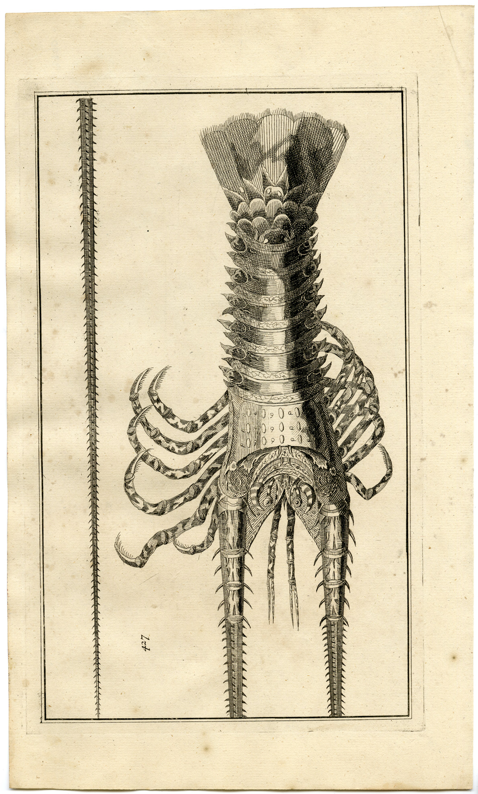 , Antique Print – TROPICAL FISH-LOBSTER-INDONESIA-LXI-VALENTIJN-ELLIGER – 1724, Pictura Antique Prints