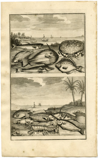 Antique Print - TROPICAL FISH-CRAB-LOBSTER-INDONESIA-LVI-VALENTIJN-ELLIGER - 1724