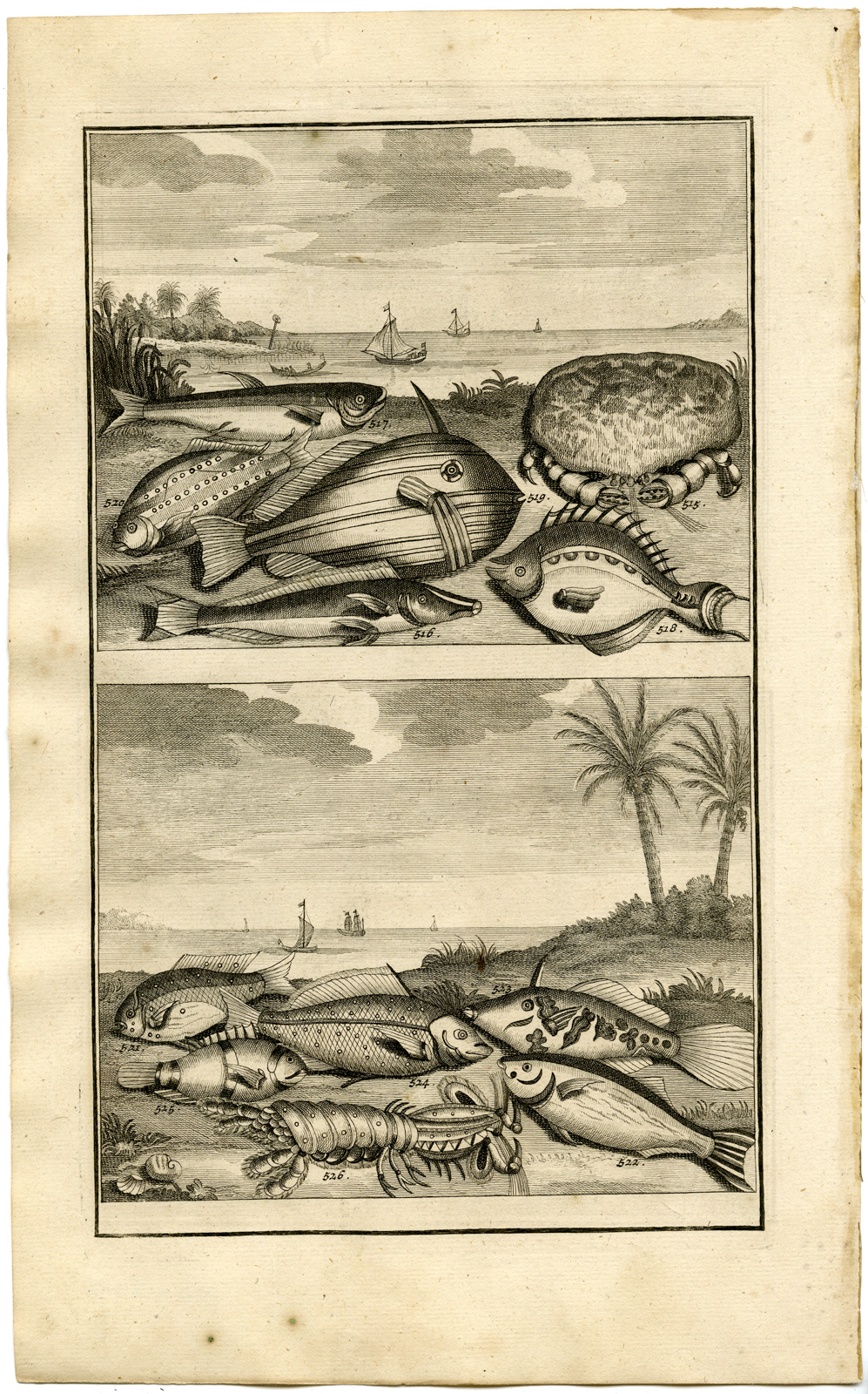 , Antique Print – TROPICAL FISH-CRAB-LOBSTER-INDONESIA-LVI-VALENTIJN-ELLIGER – 1724, Pictura Antique Prints