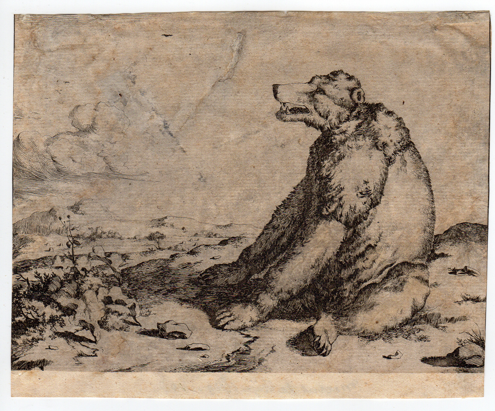 , 2 Antique Master Prints-SITTING BEARS-de Bye-Potter-c.1670, Pictura Antique Prints