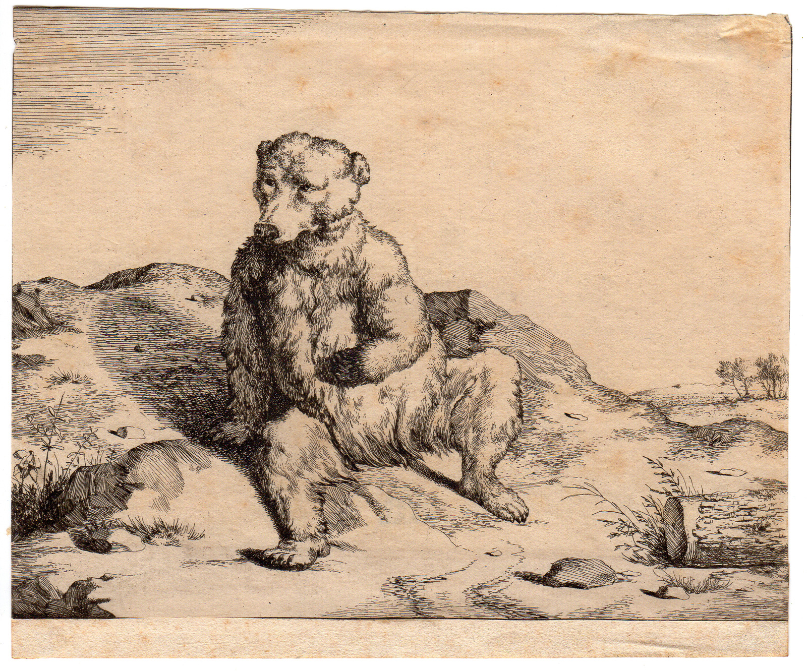 , 2 Antique Master Prints-SITTING BEARS-de Bye-Potter-c.1670, Pictura Antique Prints