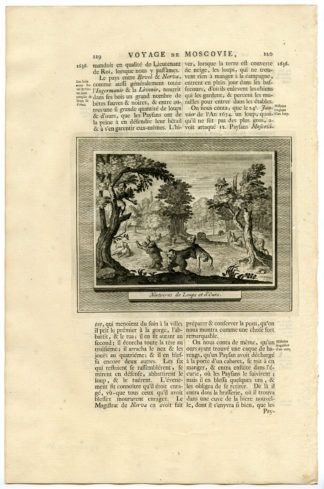 RUSSIA-BEAR-WOLF-ATTACK-MUSCOVY [After OLEARIUS, 1719]