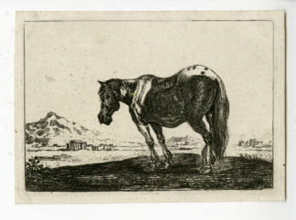 Antique Print - HORSE STANDING IN LANDSCAPE-VAN KESSEL after HECKE - 1654