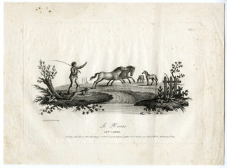 Antique Print - HORSES-SUD AND MARE IN A FIELD-LANDSCAPE-HUET after own design - c.1790