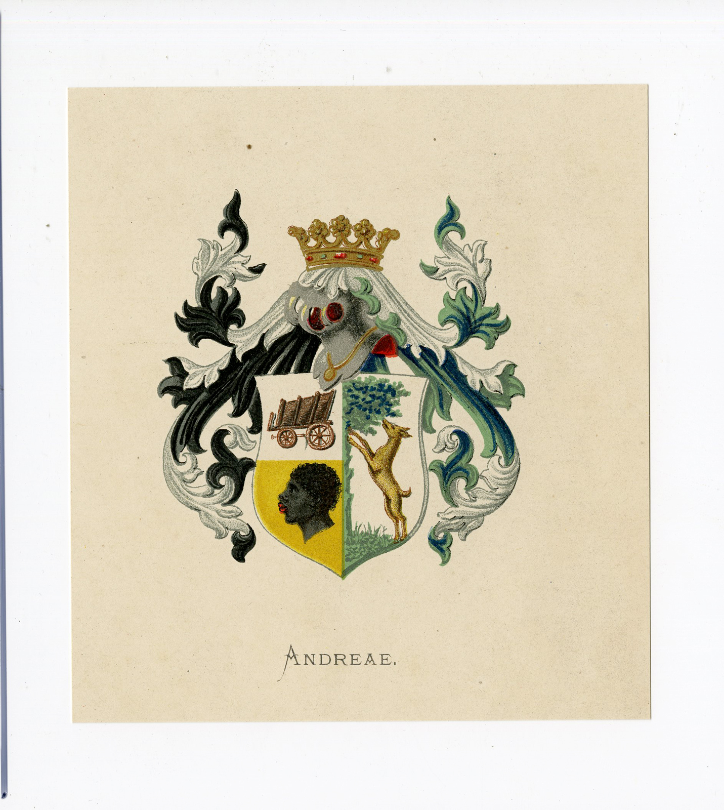 Pco 5100 416x465 Antique Print - ANDREAE-COAT OF ARMS-FAMILY CREST-WENNING after VORSTERMAN - 1885