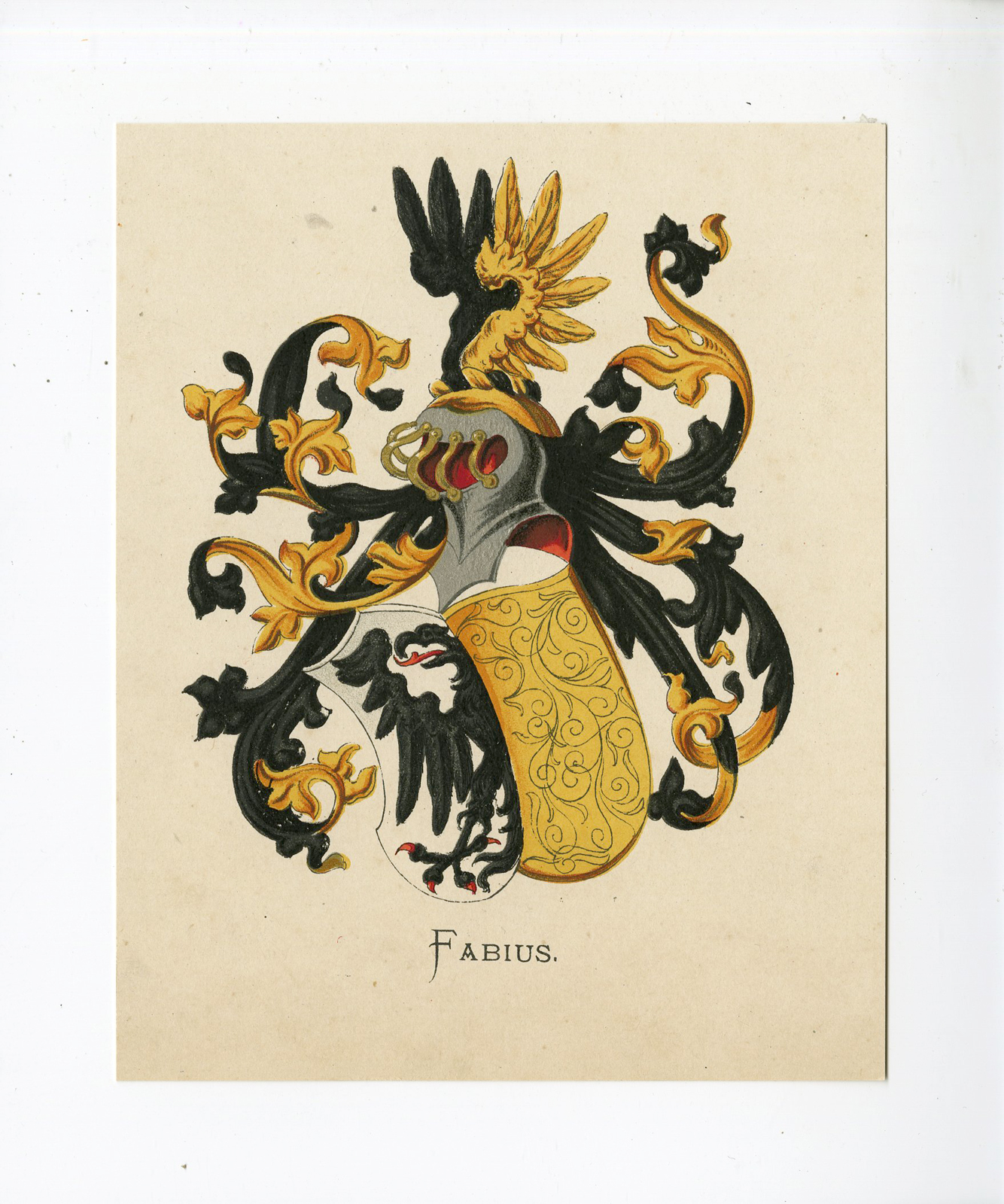, Antique Print – FABIUS-COAT OF ARMS-FAMILY CREST-WENNING after VORSTERMAN – 1885, Pictura Antique Prints