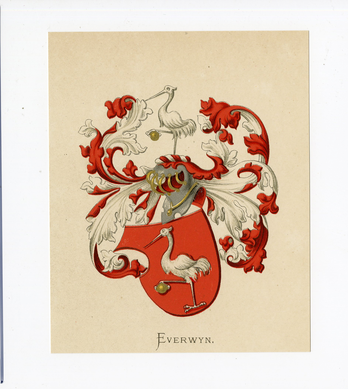 Pco 5126 416x465 Antique Print - EVERWYN-COAT OF ARMS-FAMILY CREST-WENNING after VORSTERMAN - 1885