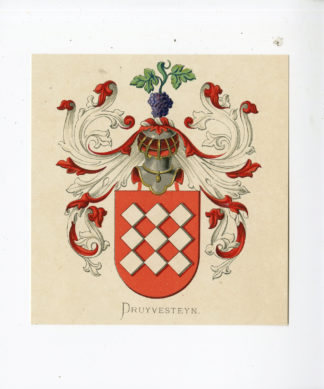 Antique Print - DRUYVESTEYN-COAT OF ARMS-FAMILY CREST-WENNING after VORSTERMAN - 1885