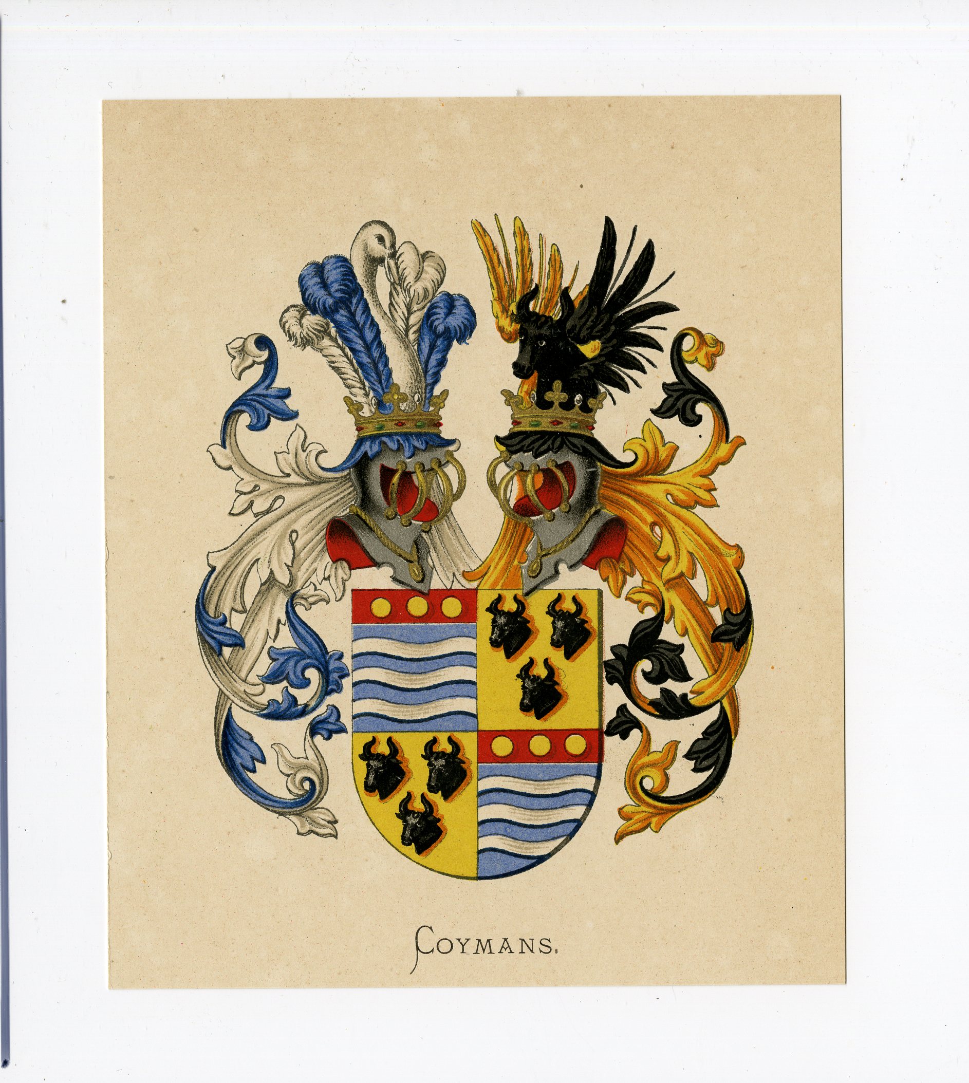 , Antique Print – COYMANS-COAT OF ARMS-FAMILY CREST-WENNING after VORSTERMAN – 1885, Pictura Antique Prints