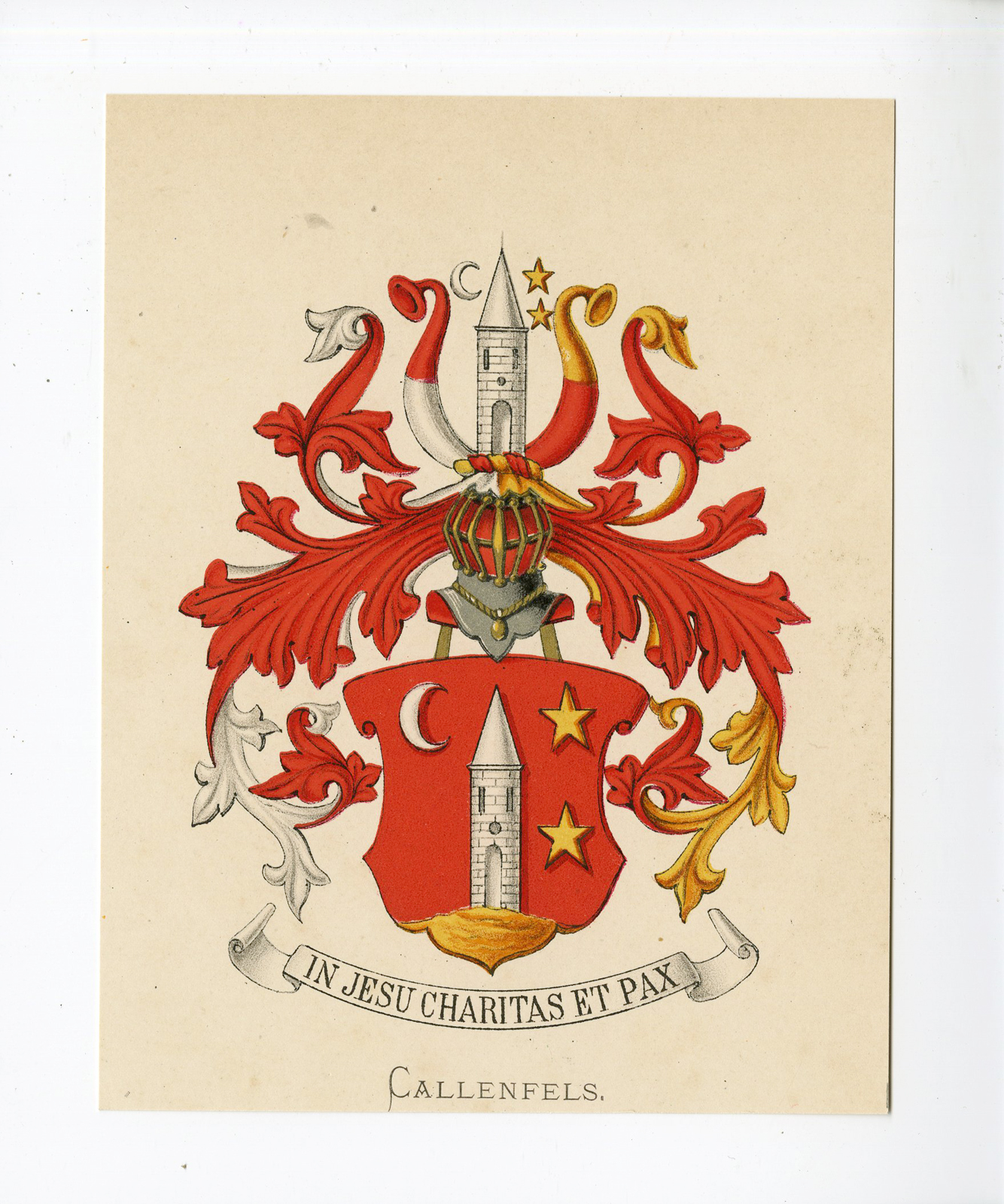 Pco 5189 416x499 Antique Print - CALLENFELS-COAT OF ARMS-FAMILY CREST-WENNING after VORSTERMAN - 1885