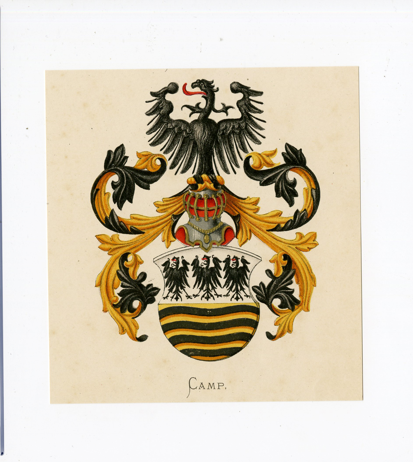 Pco 5190 416x465 Antique Print - CAMP-COAT OF ARMS-FAMILY CREST-WENNING after VORSTERMAN - 1885