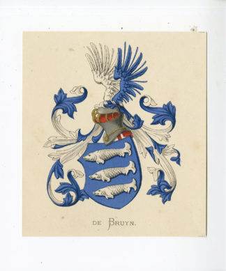 Antique Print - DE BRUYN-COAT OF ARMS-FAMILY CREST-WENNING after VORSTERMAN - 1885