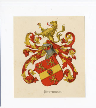 Antique Print - BRUYNINGH-COAT OF ARMS-FAMILY CREST-WENNING after VORSTERMAN - 1885