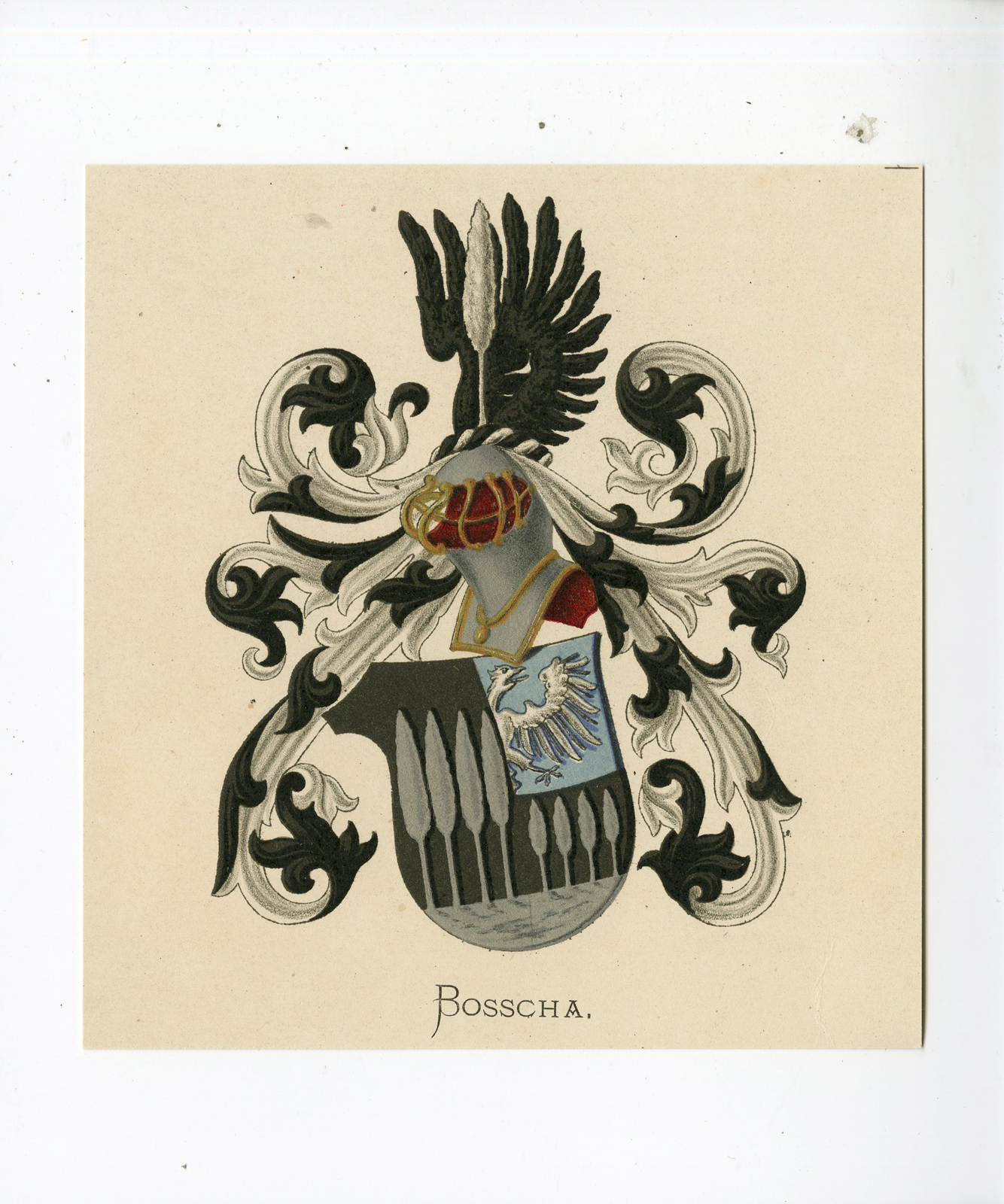 , Antique Print – BOSSCHA-COAT OF ARMS-FAMILY CREST-WENNING after VORSTERMAN – 1885, Pictura Antique Prints