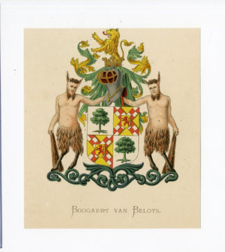 Antique Print - BOOGAERT VAN BELOYS-COAT OF ARMS-FAMILY CREST-WENNING after VORSTERMAN - 1885
