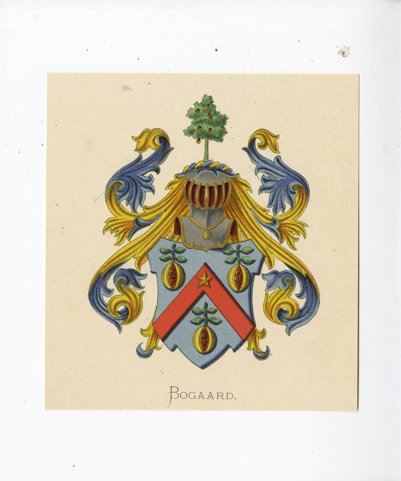 , Antique Print – BOGAARD-COAT OF ARMS-FAMILY CREST-WENNING after VORSTERMAN – 1885, Pictura Antique Prints