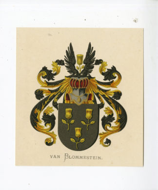 Antique Print - VAN BLOMMESTEIN-COAT OF ARMS-FAMILY CREST-WENNING after VORSTERMAN - 1885