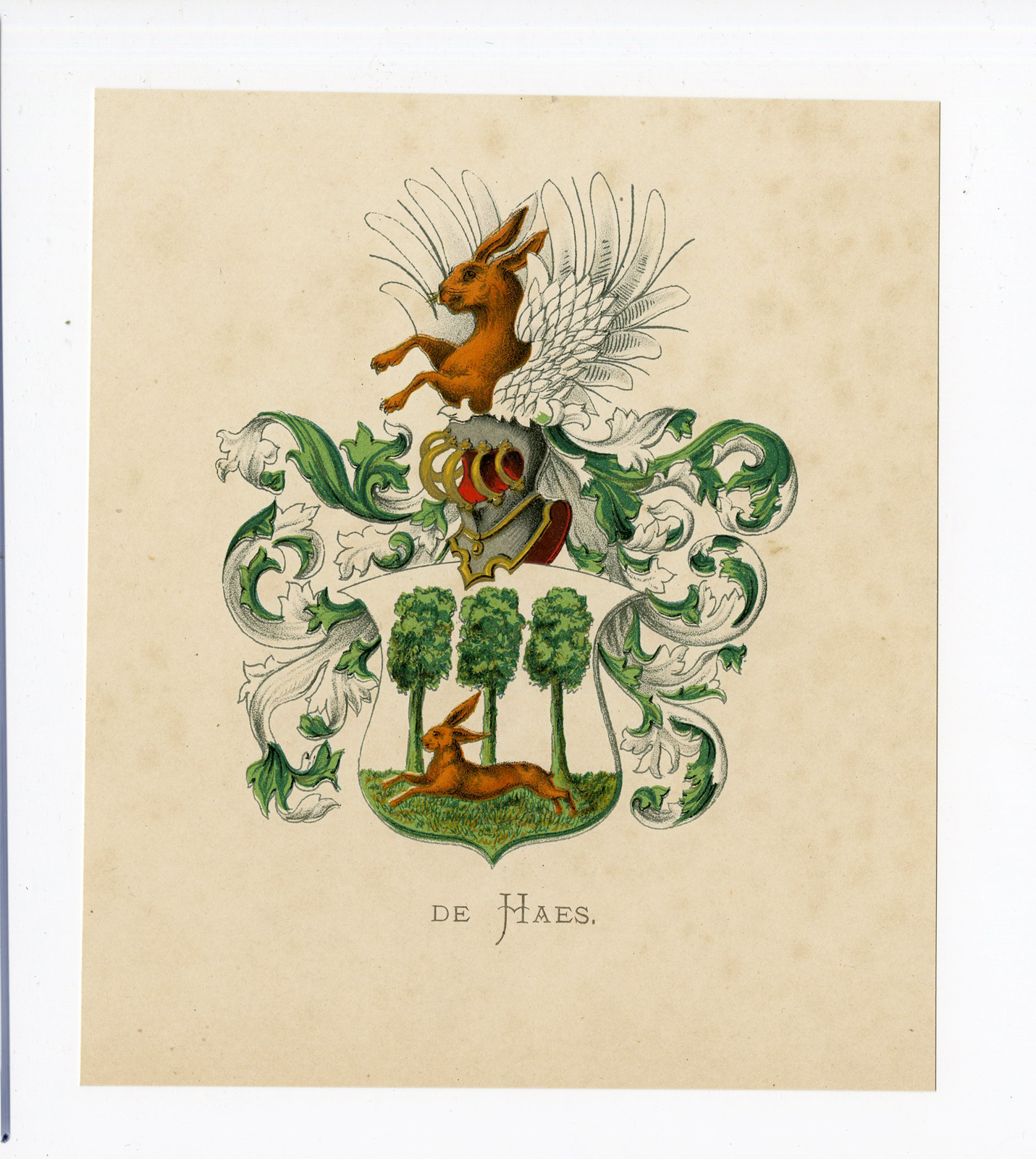 , Antique Print – DE HAES-COAT OF ARMS-FAMILY CREST-WENNING after VORSTERMAN – 1885, Pictura Antique Prints