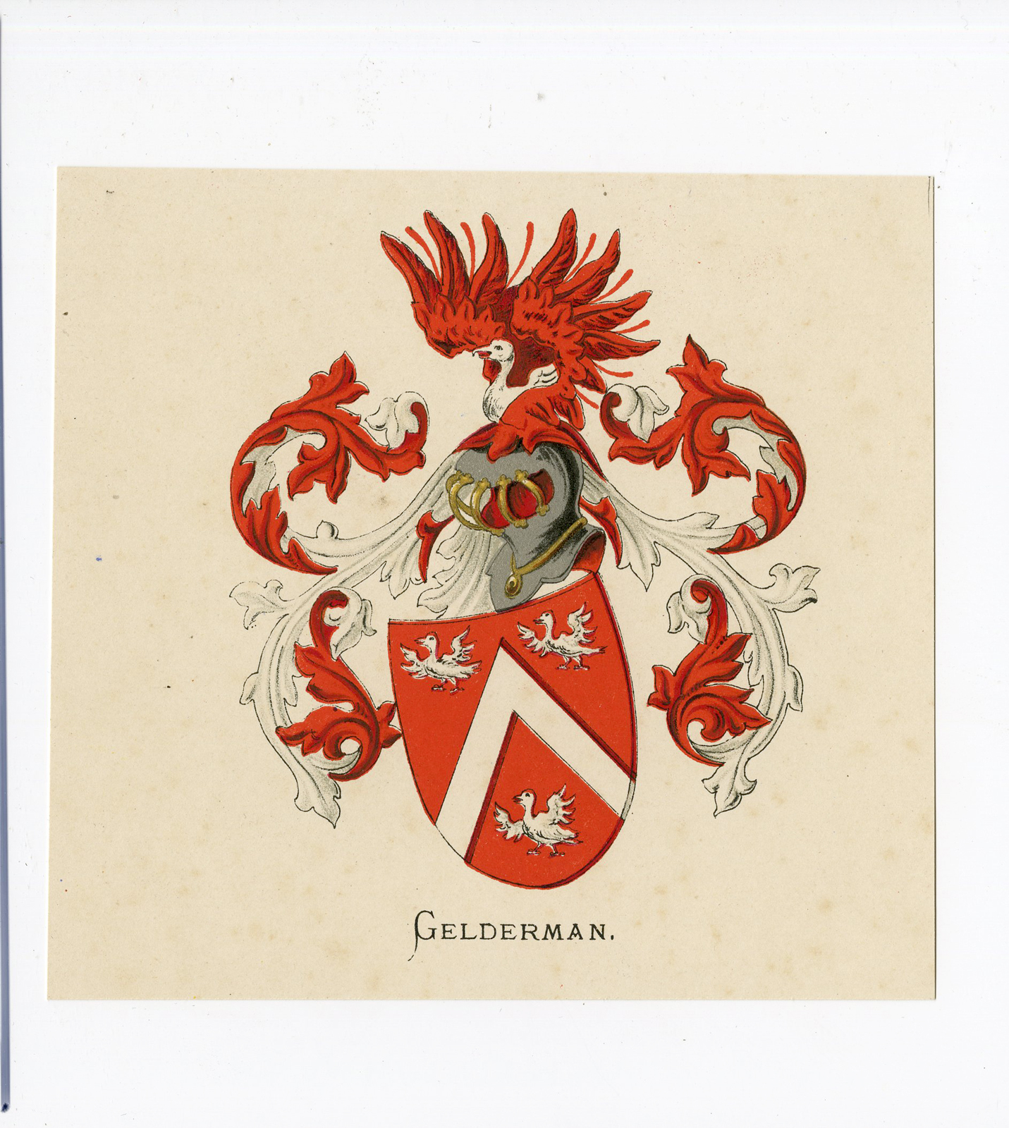 , Antique Print – GELDERMAN-COAT OF ARMS-FAMILY CREST-WENNING after VORSTERMAN – 1885, Pictura Antique Prints