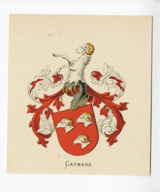 Antique Print - GAYMANS-COAT OF ARMS-FAMILY CREST-WENNING after VORSTERMAN - 1885