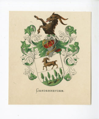 Antique Print - GANDERHEYDEN-COAT OF ARMS-FAMILY CREST-WENNING after VORSTERMAN - 1885