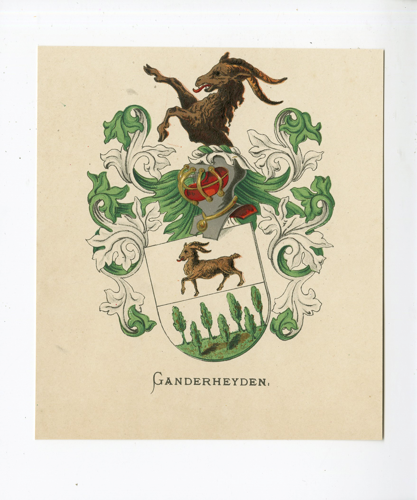 Pco 5267 416x499 Antique Print - GANDERHEYDEN-COAT OF ARMS-FAMILY CREST-WENNING after VORSTERMAN - 1885