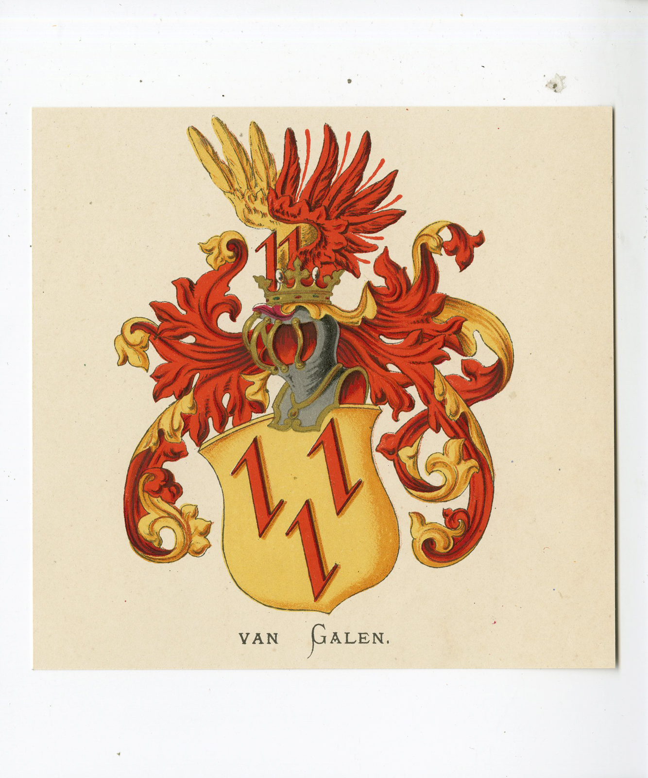 , Antique Print – VAN GALEN-COAT OF ARMS-FAMILY CREST-WENNING after VORSTERMAN – 1885, Pictura Antique Prints