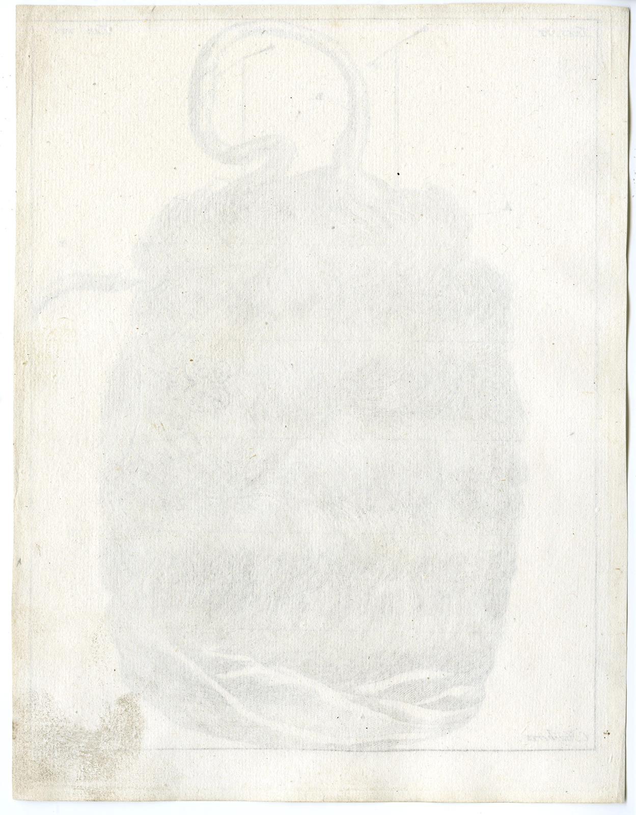 Pco 7003 416x533 Antique Print - ANATOMY-COW-UNNATURAL OCCURRENCE-HAIR-TAB.VI-HUIJBERTS after RUYSCH - 1701 - Image 2