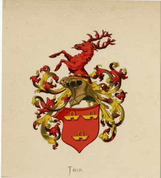 Antique Print - TRIP-COAT OF ARMS-FAMILY CREST-WENNING after VORSTERMAN - 1885