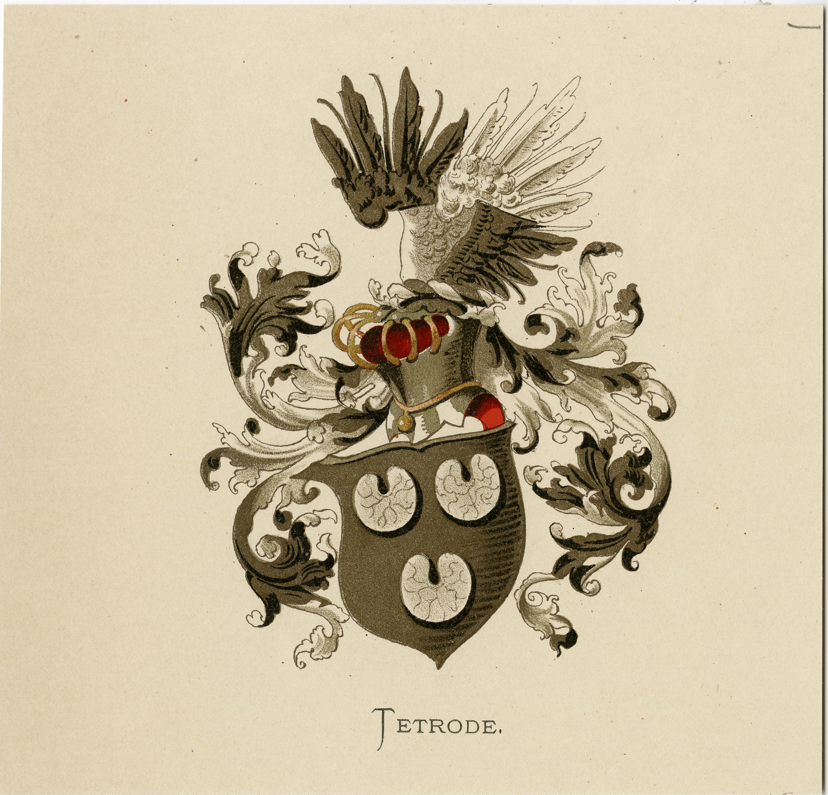 Pco 7593 416x399 Antique Print - TETRODE-COAT OF ARMS-FAMILY CREST-WENNING after VORSTERMAN - 1885