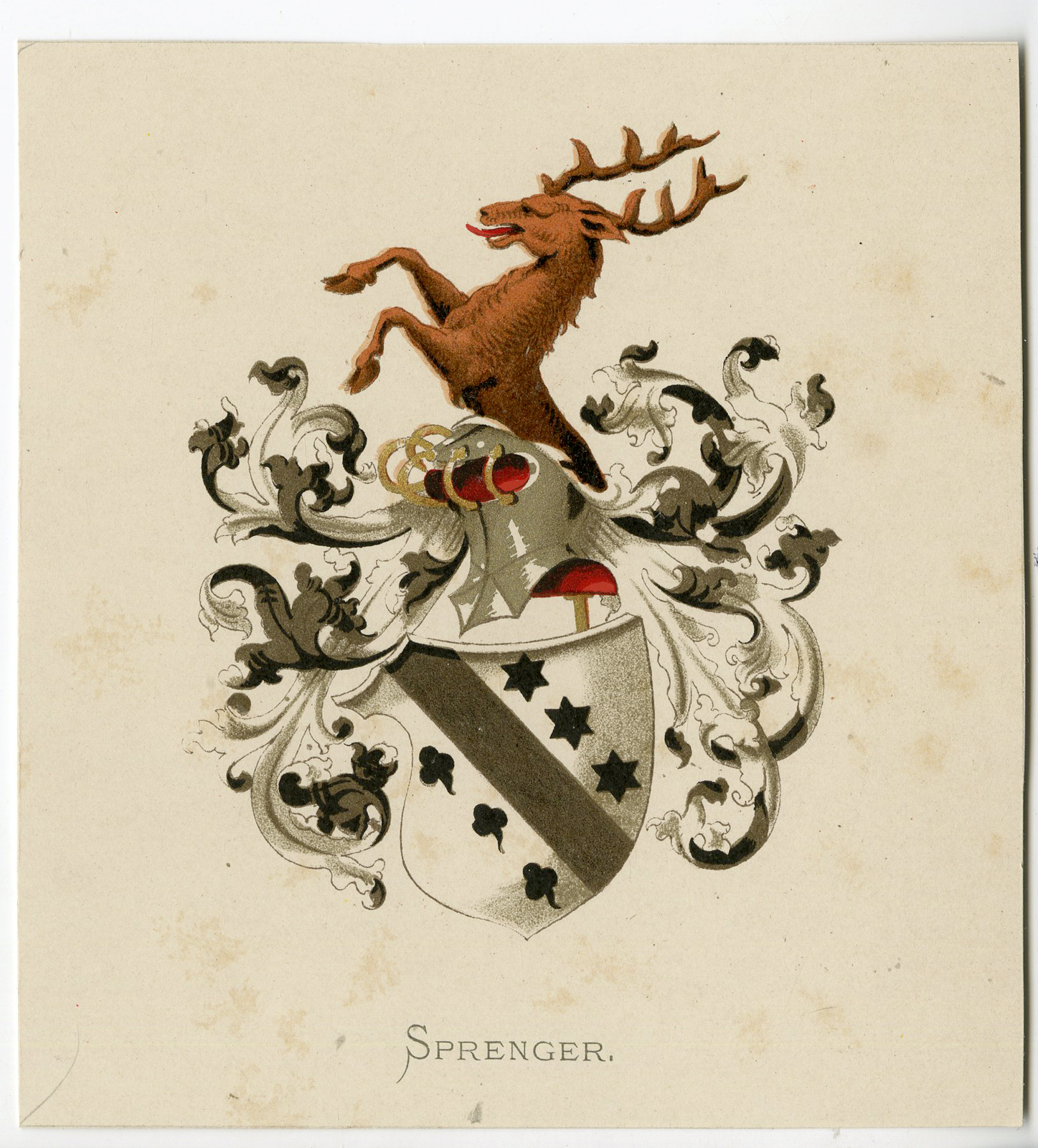 Pco 7602 2 416x460 Antique Print - SPRENGER-COAT OF ARMS-FAMILY CREST-WENNING after VORSTERMAN - 1885