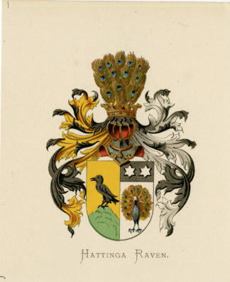 Antique Print - HATTINGA RAVEN-COAT OF ARMS-FAMILY CREST-WENNING after VORSTERMAN - 1885