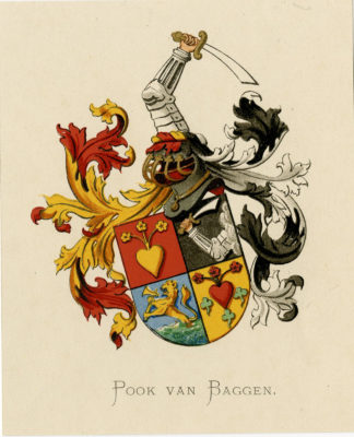 Antique Print - POOK VAN BAGGEN-COAT OF ARMS-FAMILY CREST-WENNING after VORSTERMAN - 1885