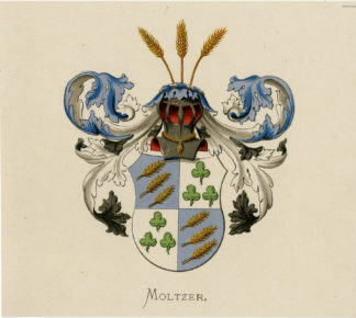 Antique Print - MOLTZER-COAT OF ARMS-FAMILY CREST-WENNING after VORSTERMAN - 1885