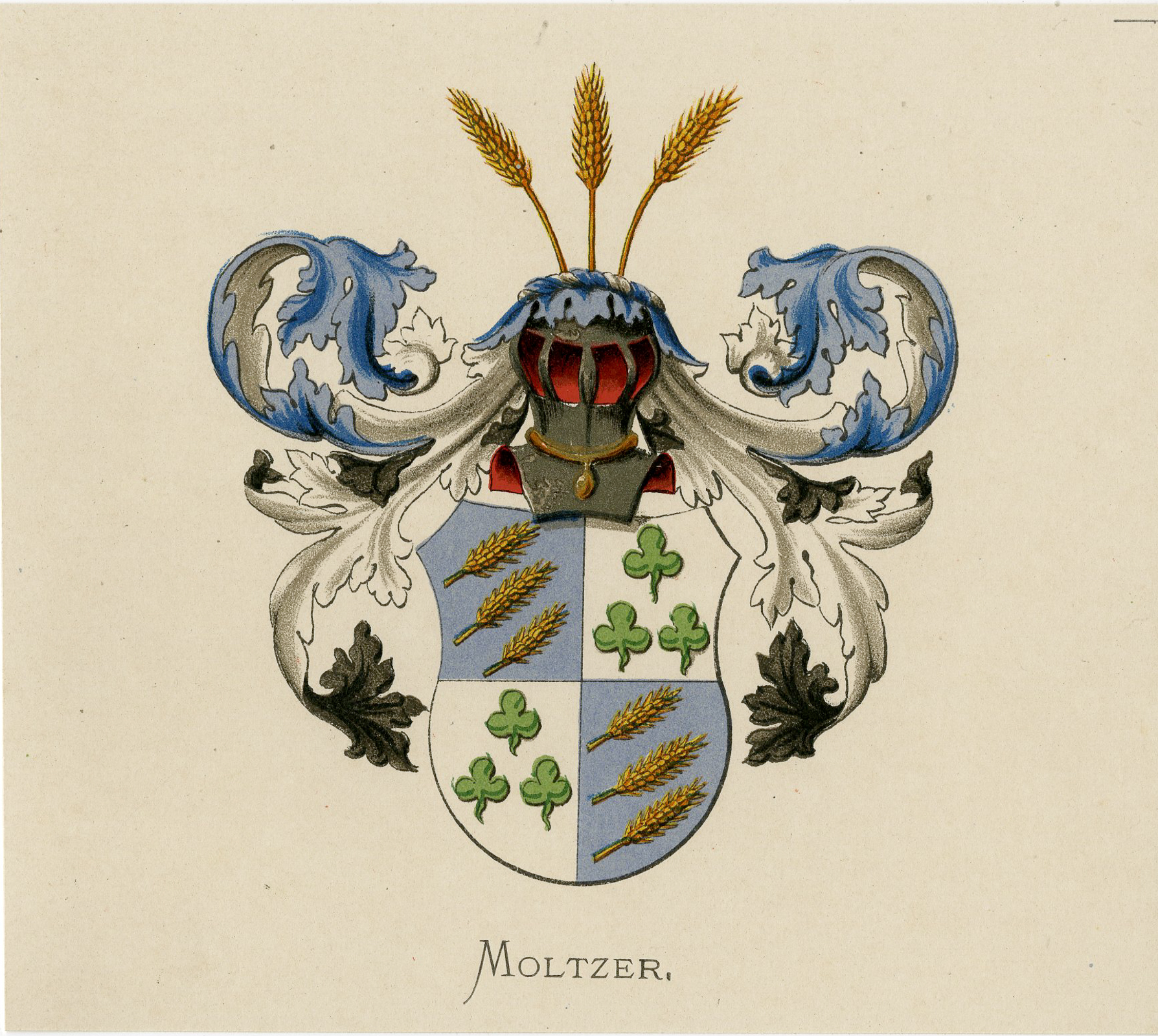 Pco 7737 416x372 Antique Print - MOLTZER-COAT OF ARMS-FAMILY CREST-WENNING after VORSTERMAN - 1885
