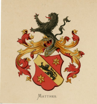 Antique Print - METELERKAMP MATTHES-COAT OF ARMS-FAMILY CREST-WENNING after VORSTERMAN - 1885