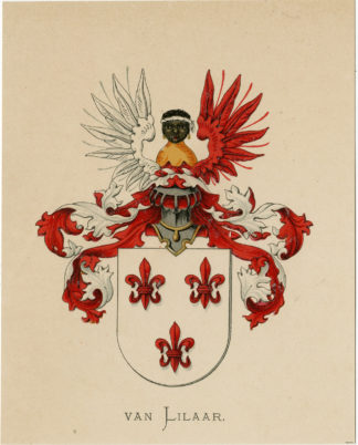 Antique Print - METELERKAMP VAN LILAAR-COAT OF ARMS-FAMILY CREST-WENNING after VORSTERMAN - 1885