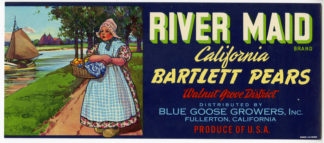 Vintage Print - River Maid California Bartlett Pears-Poster [Schmidt L.Co. Fresno, 20th.c.]