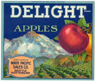 Vintage Print - Delight Apples-Poster-Crate label [Stecher Traung, c.1920]