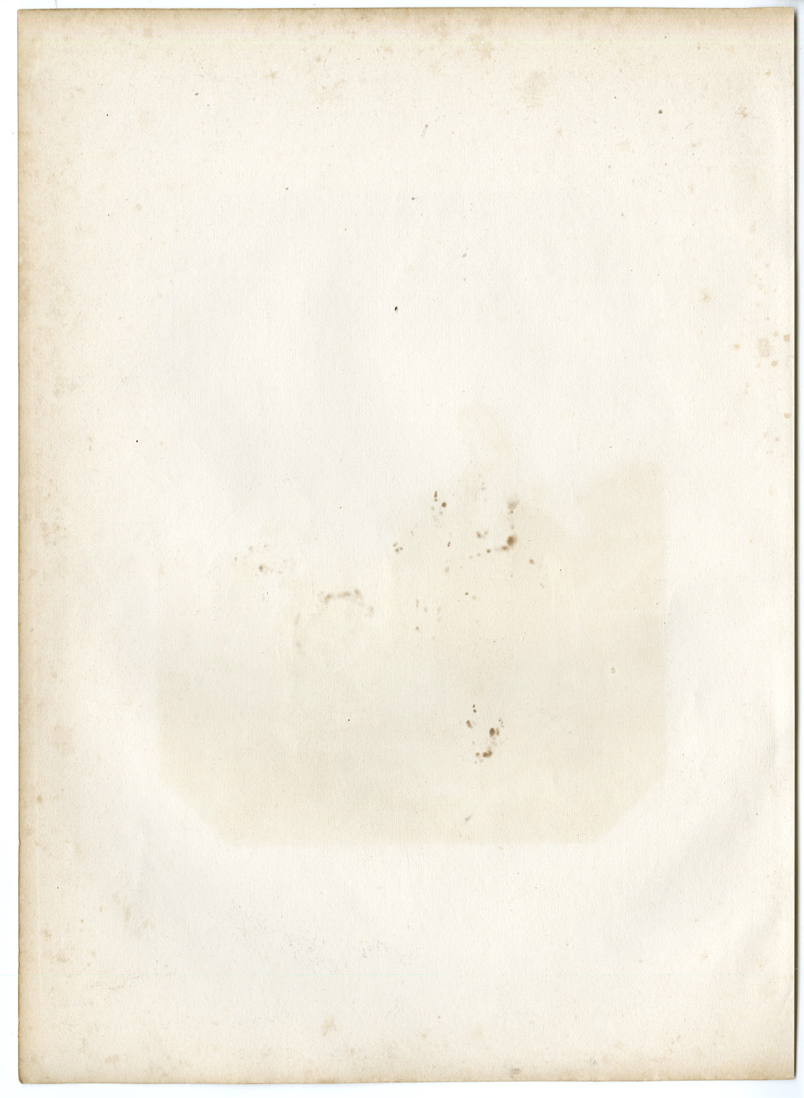 , Antique Print – PAULUS POTTER-DUTCH PAINTER-STEELINK after LENNEP – 1880, Pictura Antique Prints