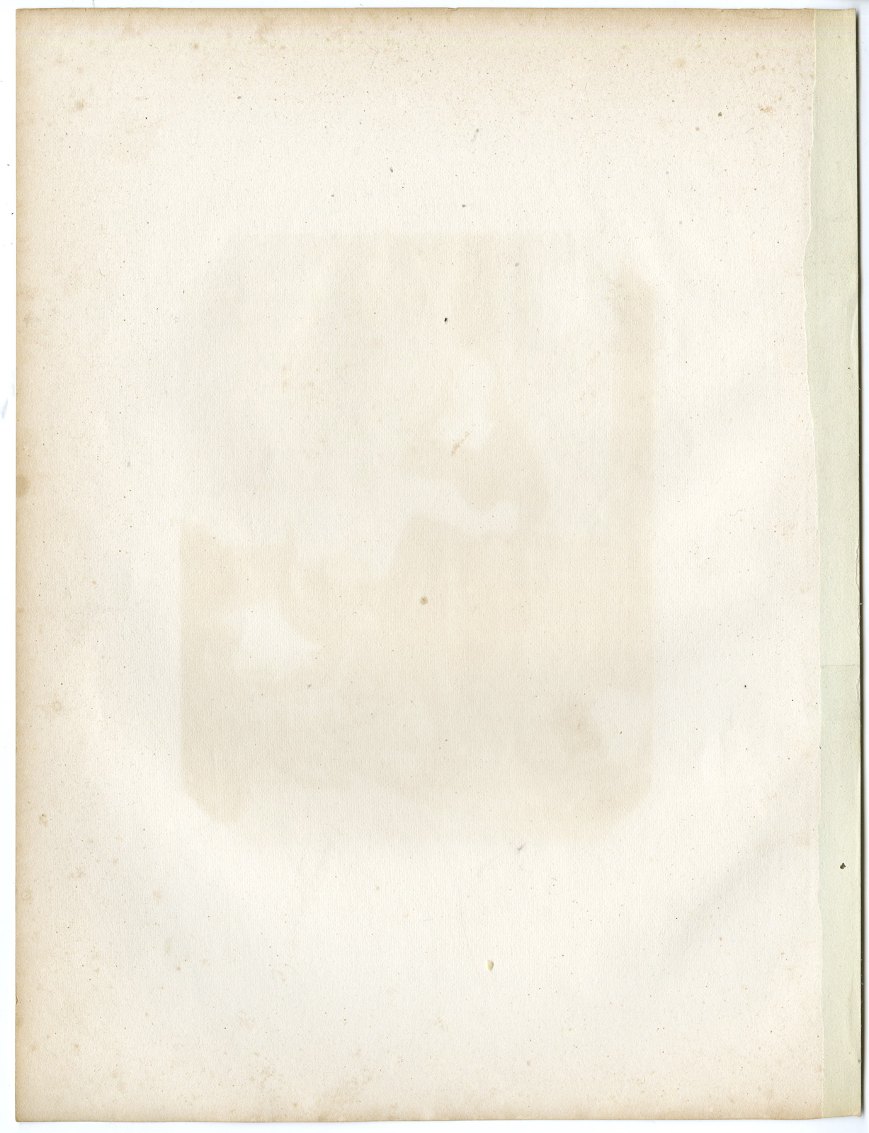 , Antique Print – JAN DE WITT-DUTCH POLITICIAN-STEELINK after LENNEP – 1880, Pictura Antique Prints