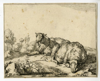 Antique Print - SHEEP AT BLACKBERRY BRANCH-DE BYE after own design - c.1660