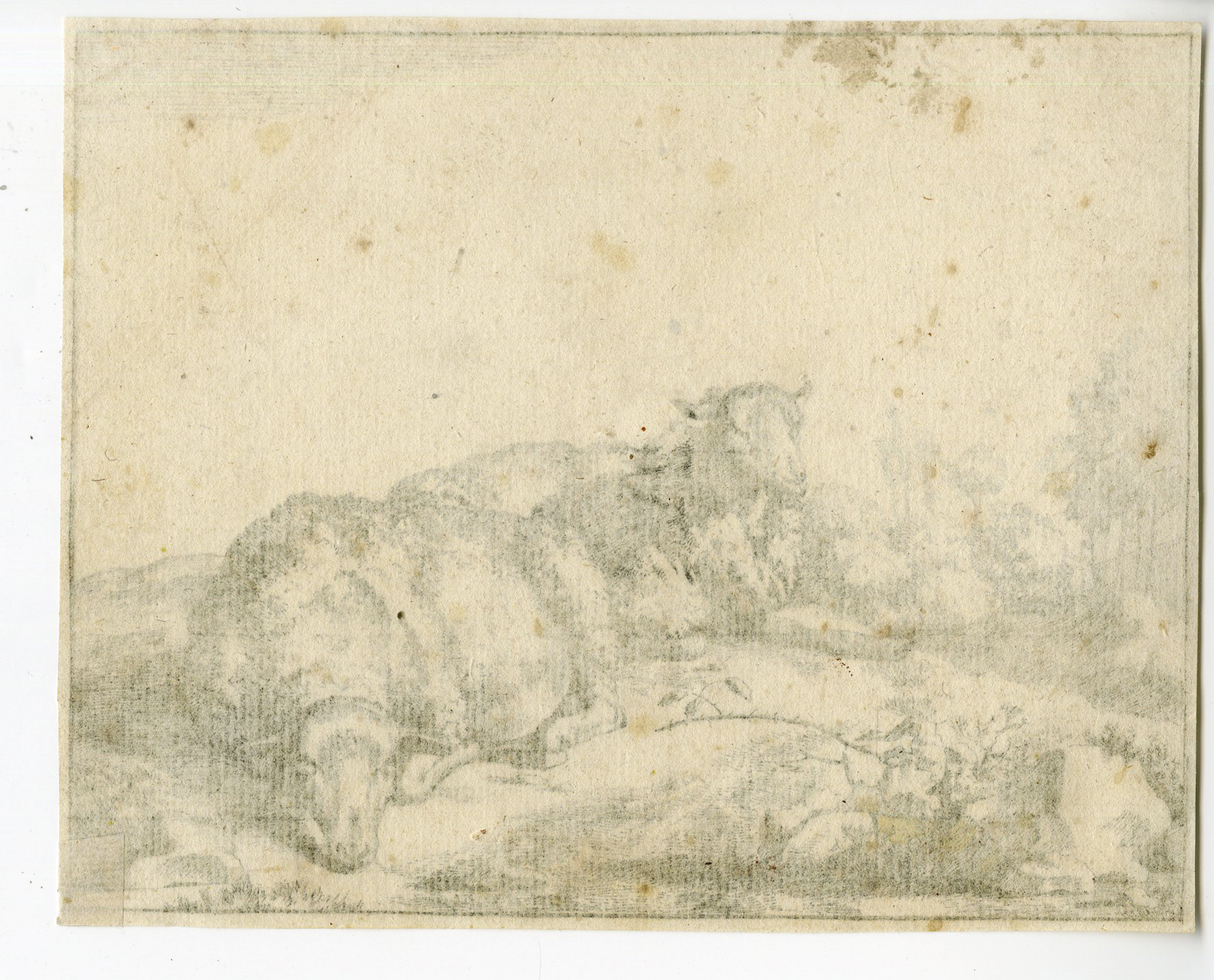 , Antique Print – SHEEP AT BLACKBERRY BRANCH-DE BYE after own design – c.1660, Pictura Antique Prints