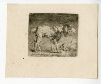 Antique Print - DOG STANDING-SETTER-FERDINAND KOBELL after own design - c.1770